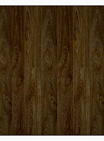 Çamsan Avangard Asi Meşe