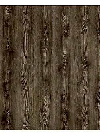 Çamsan Gloria Flores