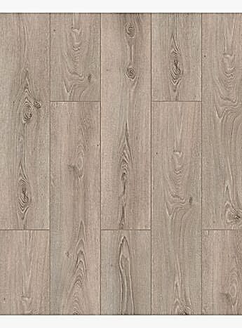 Floorpan Prime Erasmus