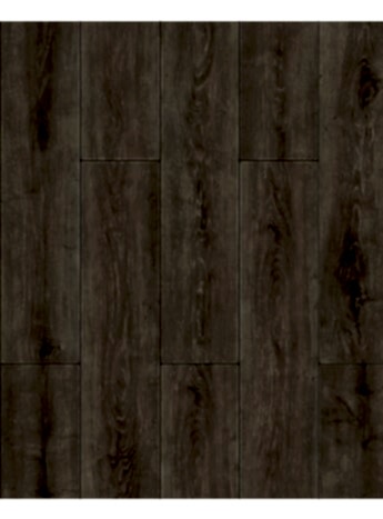 Floorpan Wings Parrot