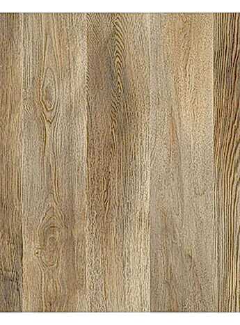 Agt Marco Polo Kaledonya