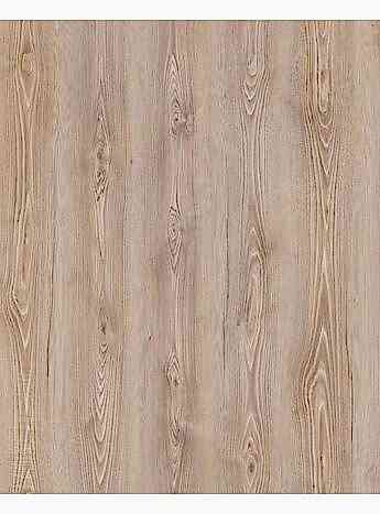 Çamsan Gloria Mauna