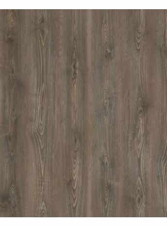 Çamsan Gloria Palmira