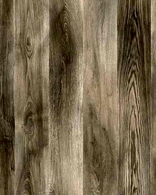 Agt Marco Polo Labrador