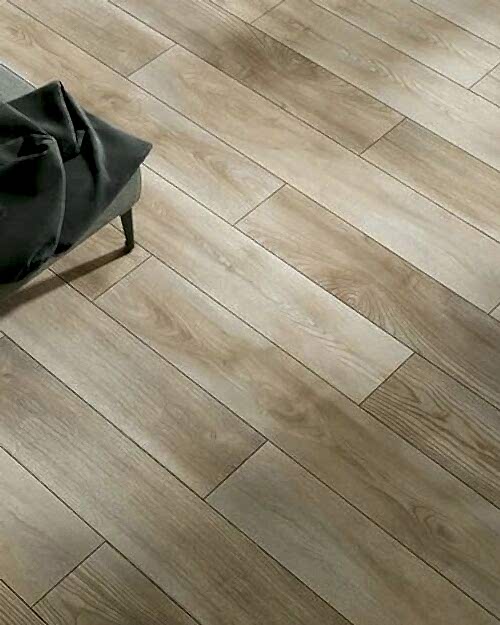 Agt Marco Polo Labrador