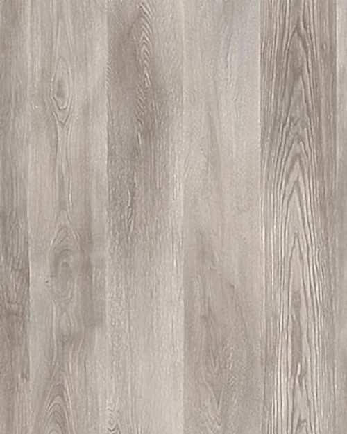 Agt Marco Polo Florida