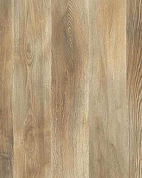 Agt Marco Polo Kaledonya