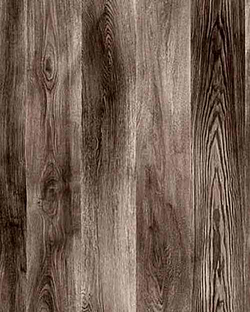 Agt Marco Polo Panama