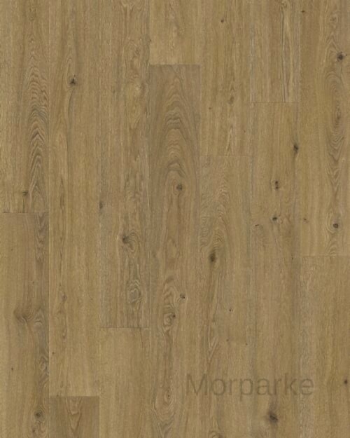 Pergo Odense Beaufort Oak